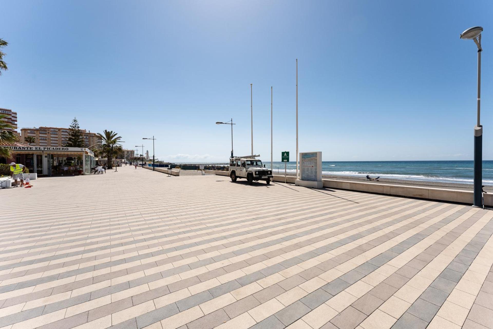 Parrot Torrox